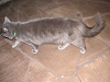 s_B_PICT0046_thumb.png